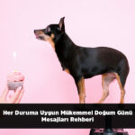 Her Duruma Uygun Mükemmel Doğum Günü Mesajları Rehberi