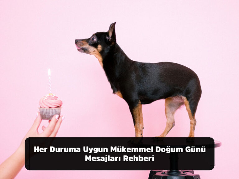 Her Duruma Uygun Mükemmel Doğum Günü Mesajları Rehberi
